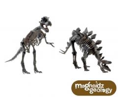 Schelet 3D - Dinozauri - mai multe modele