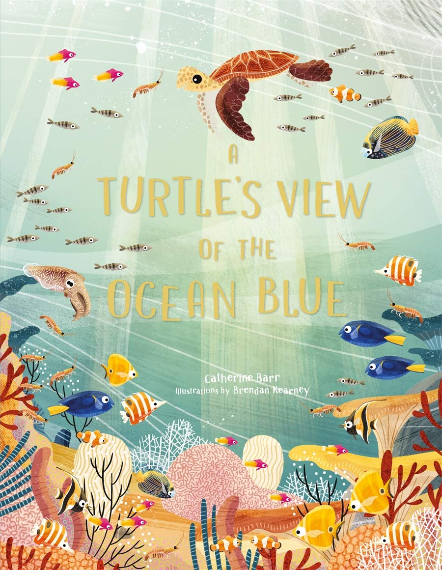 A Turtle&#039;s View of the Ocean Blue