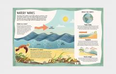 A Turtle's View of the Ocean Blue