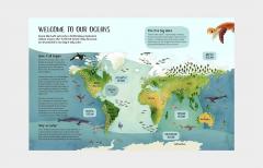 A Turtle's View of the Ocean Blue