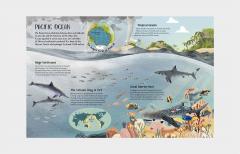 A Turtle's View of the Ocean Blue