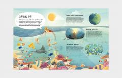 A Turtle's View of the Ocean Blue