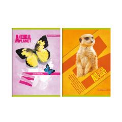 Caiet - Animal Planet, matematica A5