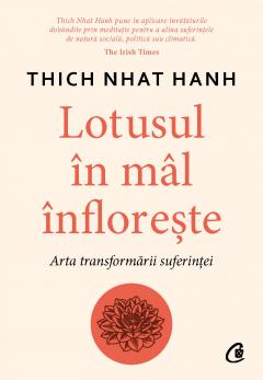 Lotusul in mal infloreste