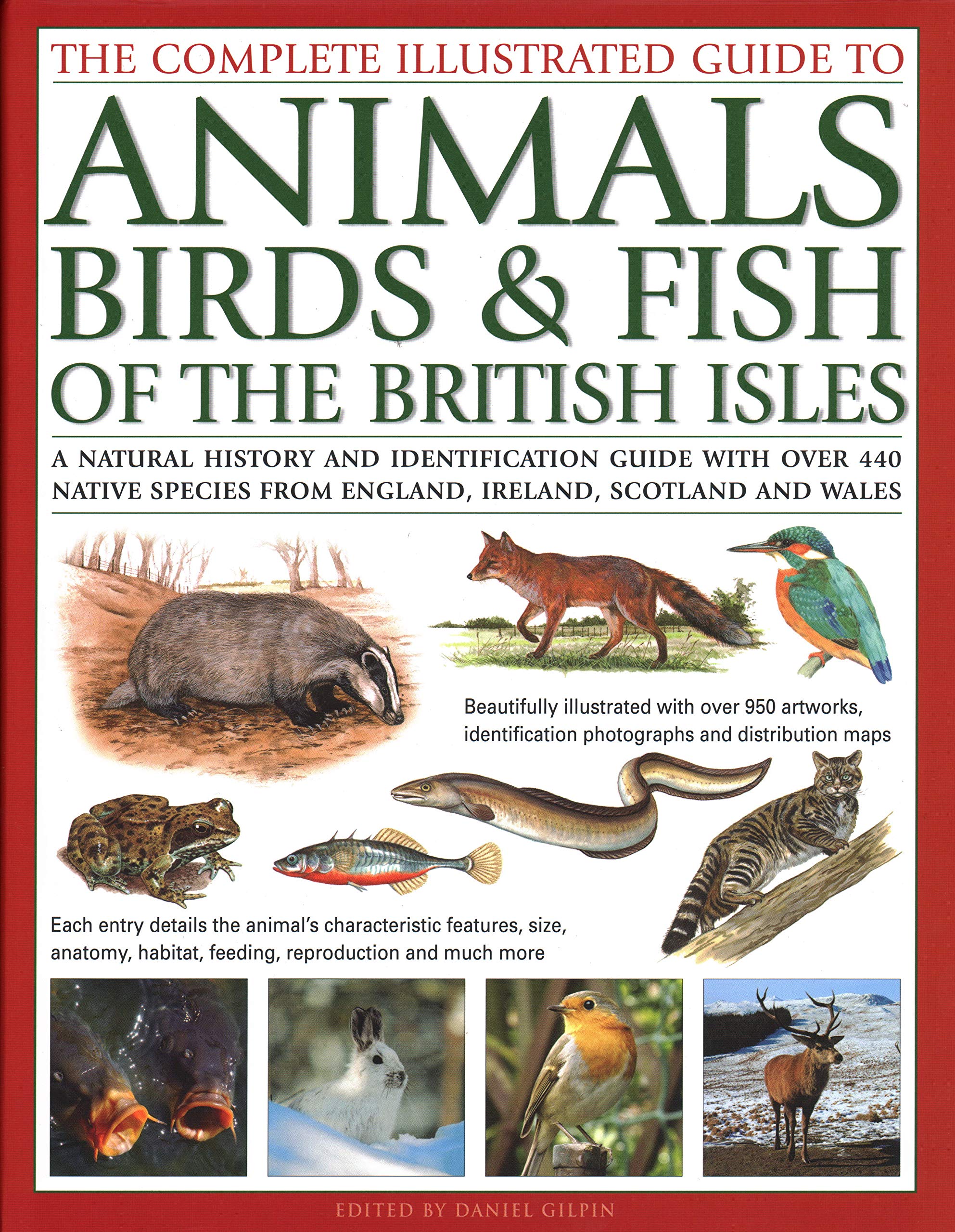 Animals, Birds &amp; Fish of British Isles, Complete Illustrated Guide to
