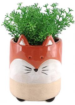 Ghiveci - Renard Estival