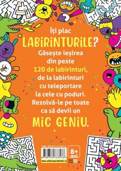 Micile genii: Jocuri cu labirinturi