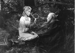 Wild Strawberries / Smultronstallet