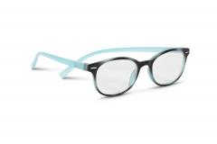 Ochelari pentru citit +2.5 - Easy Readers - Round Blue and Black