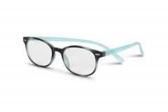 Ochelari pentru citit +2.5 - Easy Readers - Round Blue and Black