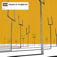 Origin Of Symmetry - Vinyl