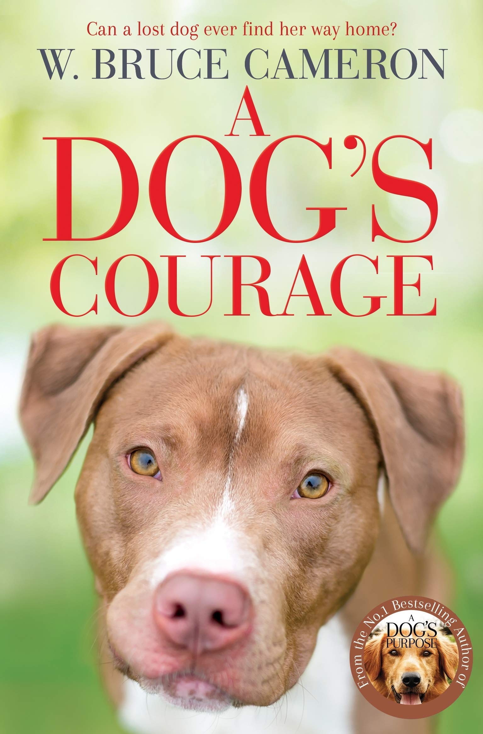 A Dog&#039;s Courage