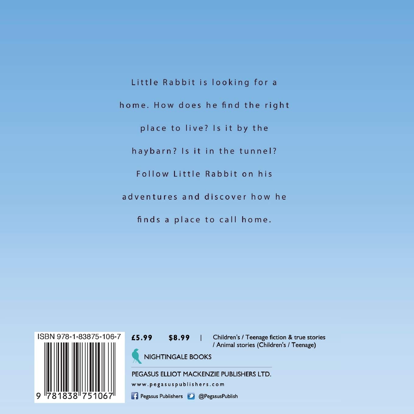 Run Little Rabbit Book Run Little Rabbit, Run - Thea O'Brien