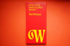 Ciocolata Literara 54% Cacao Cu Lapte Si Zmeura 80 g Walt