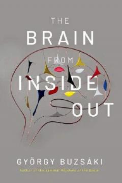 Brain from Inside Out