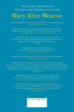 Summer of Lost and Found