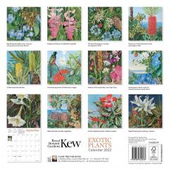 Calendar 2022 - Kew Gardens - Exotic Plants by Marianne North