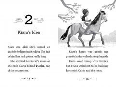 Battle of the Blanket Forts