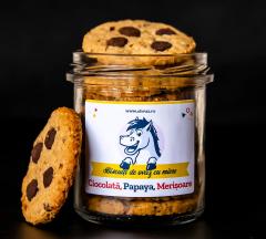 Biscuiti de ovaz cu ciocolata, papaya, merisoare