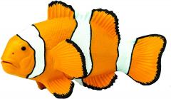 Figurina - Clown Anemonefish