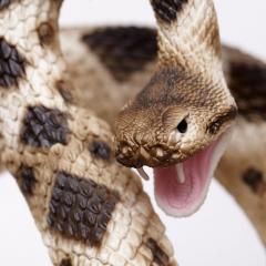 Figurina - Eastern Diamondback Rattlesnake