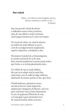 Evadarea din labirint