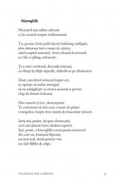 Evadarea din labirint