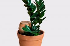 Vas ecologic auto-udare din ceramica - Lutoya M Green, 35 cl