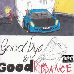 Goodbye and Good Riddance - Vinyl