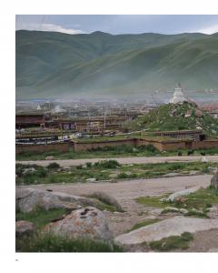 China's Vanishing Worlds