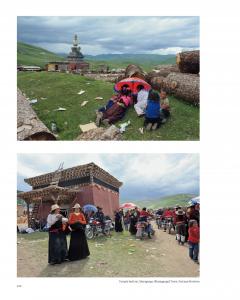 China's Vanishing Worlds