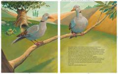 Tranquilla Trampeltreu, die beharrliche Schildkrote