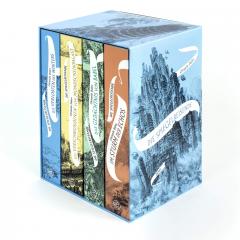 Die Spiegelreisende - Bande 1-4