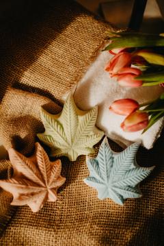 Sapun exfoliant fin - Invigorating