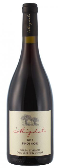 Vin rosu - Pinot Noir, sec, 2018