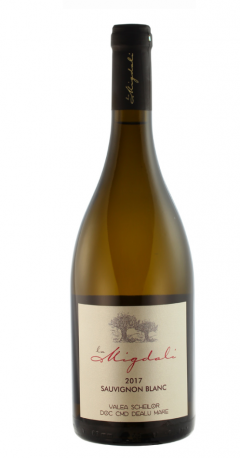 Vin alb - Sauvignon Blanc, sec, 2019