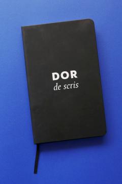 Agenda - DoR de scris