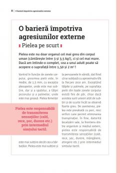 Mic ghid de sanatate: Pielea