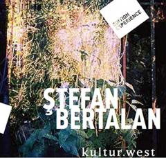 Stefan Bertalan. Visuelle Strukturen (1960‒2000)