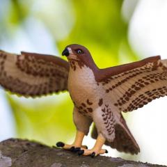 Figurina - Wildlife Animal - Red-Tailed Hawk