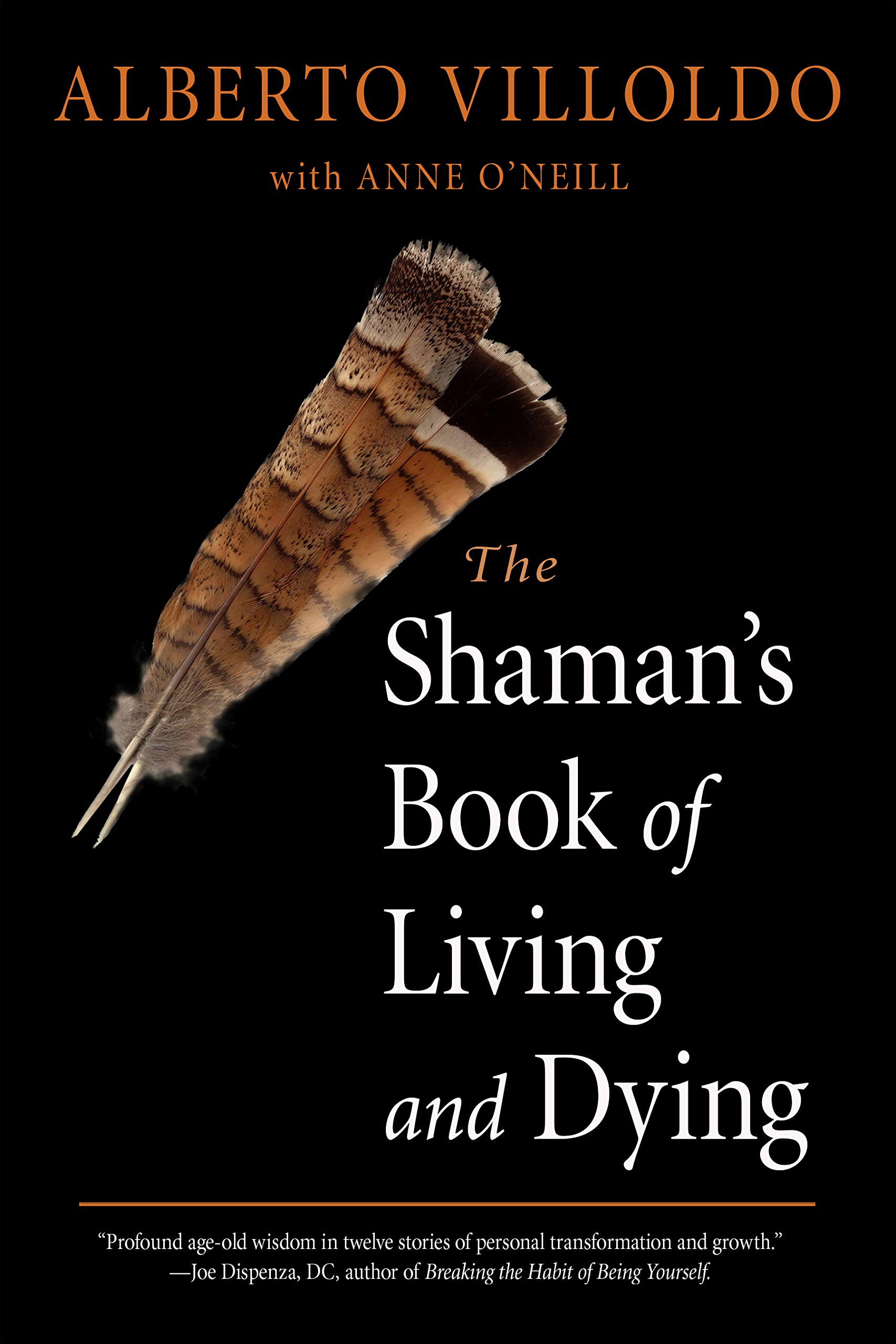 Shaman&#039;s Book of Living and Dying