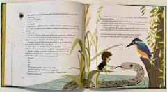 Lengemesek - Nadtengeri rejtelyek