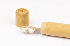 Carcasa din bambus pentru periuta