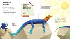 The Amazing Catalogue of Weirdest Reptiles