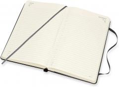 Agenda 2021-2022 - 18-Month Daily Planner - Large, Hard Cover - Black