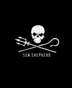 Sea Shepherd: 40 Years: The Official Book