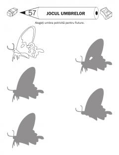 Ma joc si colorez -  Activitati 4-6 ani