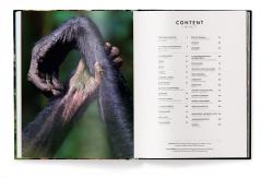 Jungle Spirits - Bilingual Edition