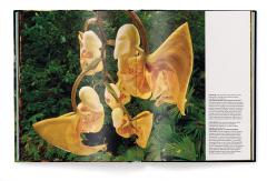 Jungle Spirits - Bilingual Edition