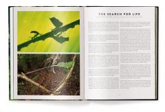 Jungle Spirits - Bilingual Edition